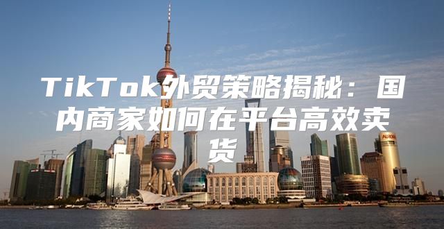 TikTok外贸策略揭秘：国内商家如何在平台高效卖货