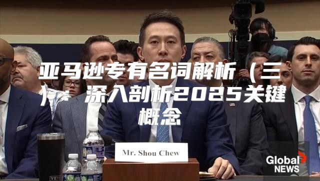 亚马逊专有名词解析三：深入剖析2025关键概念
