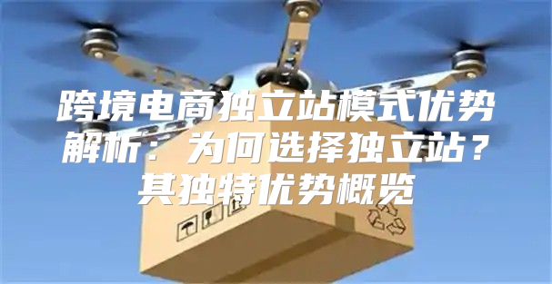 跨境电商独立站模式优势解析：为何选择独立站？其独特优势概览