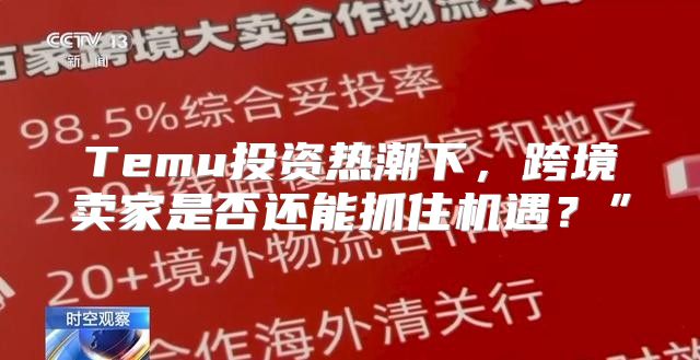 Temu投资热潮下，跨境卖家是否还能抓住机遇？”