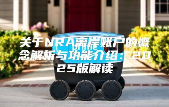 关于NRA离岸账户的概念解析与功能介绍：2025版解读