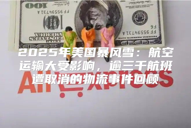 2025年美国暴风雪：航空运输大受影响，逾三千航班遭取消的物流事件回顾