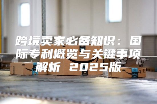 跨境卖家必备知识：国际专利概览与关键事项解析 2025版