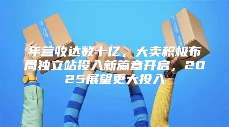 年营收达数十亿，大卖积极布局独立站投入新篇章开启，2025展望更大投入