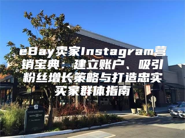 eBay卖家Instagram营销宝典：建立账户、吸引粉丝增长策略与打造忠实买家群体指南