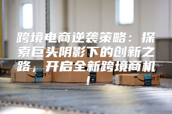 跨境电商逆袭策略：探索巨头阴影下的创新之路，开启全新跨境商机！