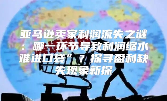 亚马逊卖家利润流失之谜：哪一环节导致利润缩水难进口袋”？探寻盈利缺失现象新探