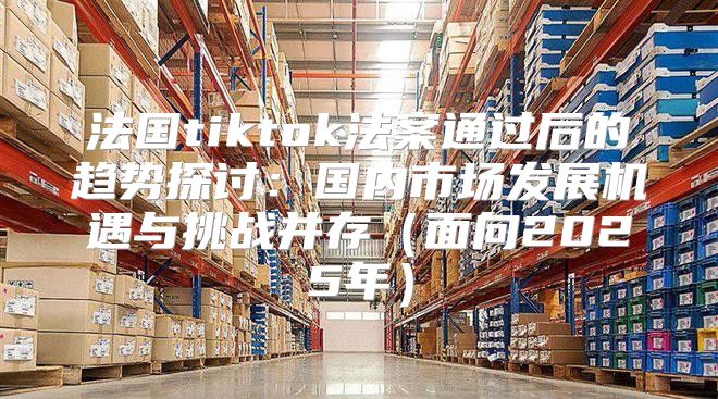 法国tiktok法案通过后的趋势探讨：国内市场发展机遇与挑战并存面向2025年