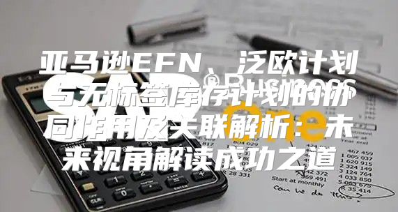亚马逊EFN、泛欧计划与无标签库存计划的协同作用及关联解析：未来视角解读成功之道