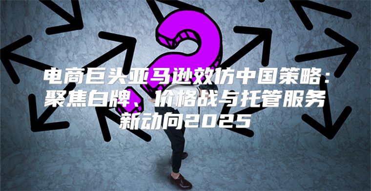 电商巨头亚马逊效仿中国策略：聚焦白牌、价格战与托管服务新动向2025