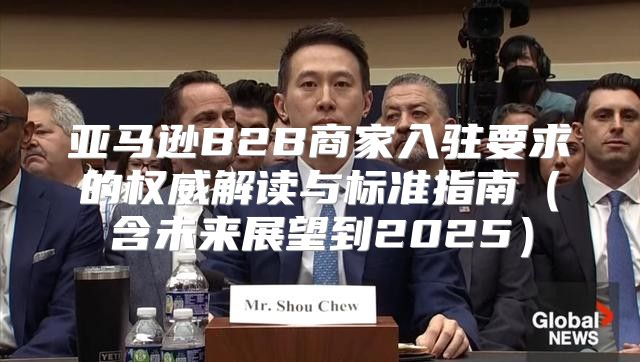 亚马逊B2B商家入驻要求的权威解读与标准指南含未来展望到2025