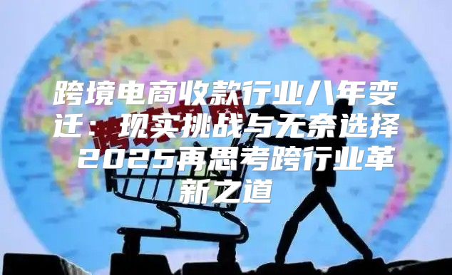 跨境电商收款行业八年变迁：现实挑战与无奈选择 2025再思考跨行业革新之道