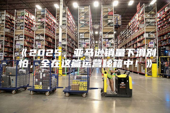 2025，亚马逊销量下滑别怕，全在这篇运营秘籍中！