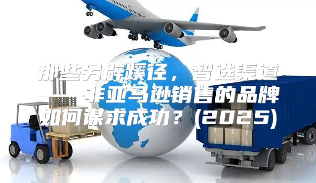 那些另辟蹊径，智选渠道——非亚马逊销售的品牌如何谋求成功？(2025)