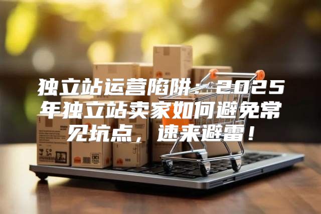 独立站运营陷阱：2025年独立站卖家如何避免常见坑点，速来避雷！
