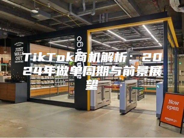 TikTok商机解析：2025年做单周期与前景展望