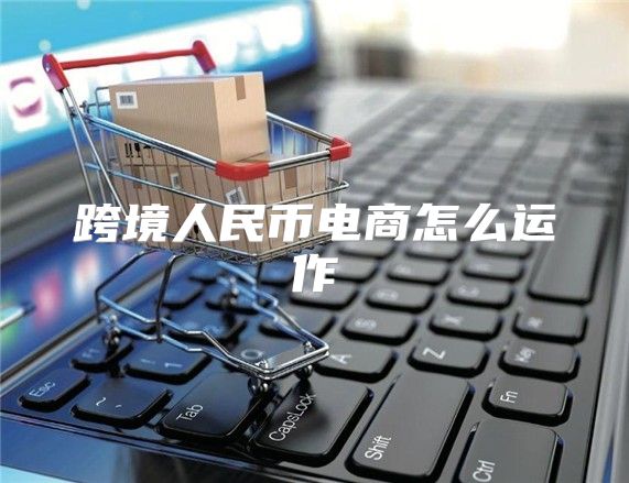 跨境人民币电商怎么运作