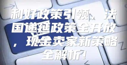 利好政策引领，法国递延政策全开放，现金卖家新策略全解析！