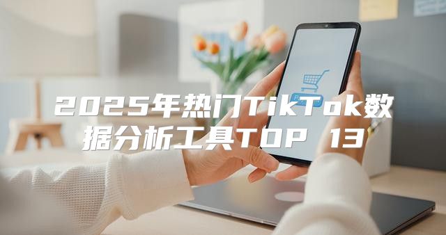 2025年热门TikTok数据分析工具TOP 13