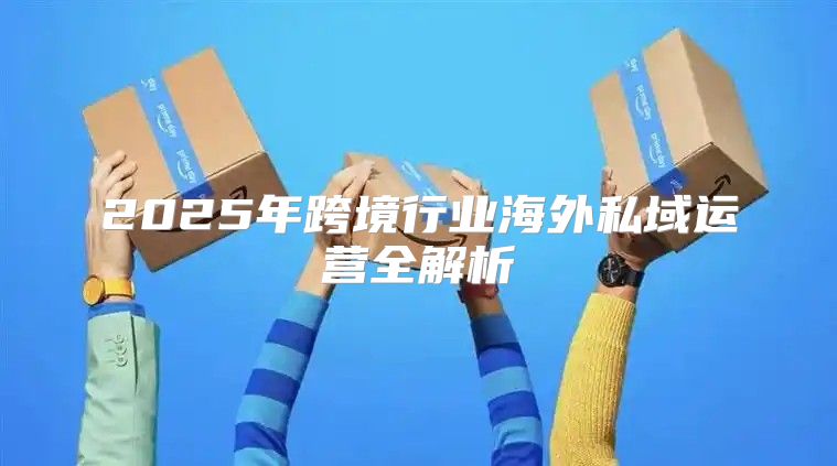 2025年跨境行业海外私域运营全解析