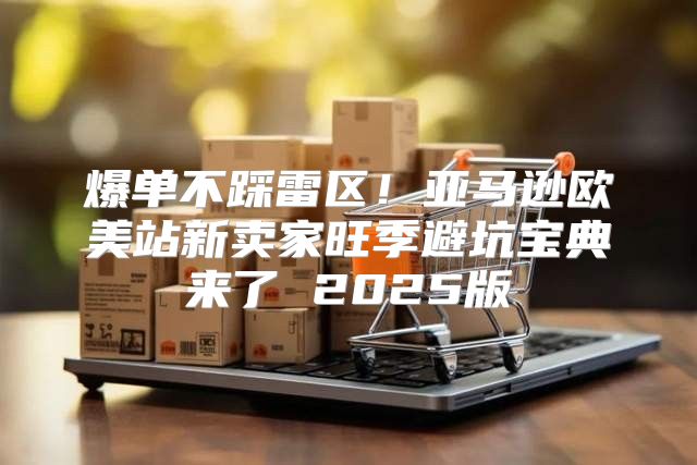 爆单不踩雷区！亚马逊欧美站新卖家旺季避坑宝典来了 2025版
