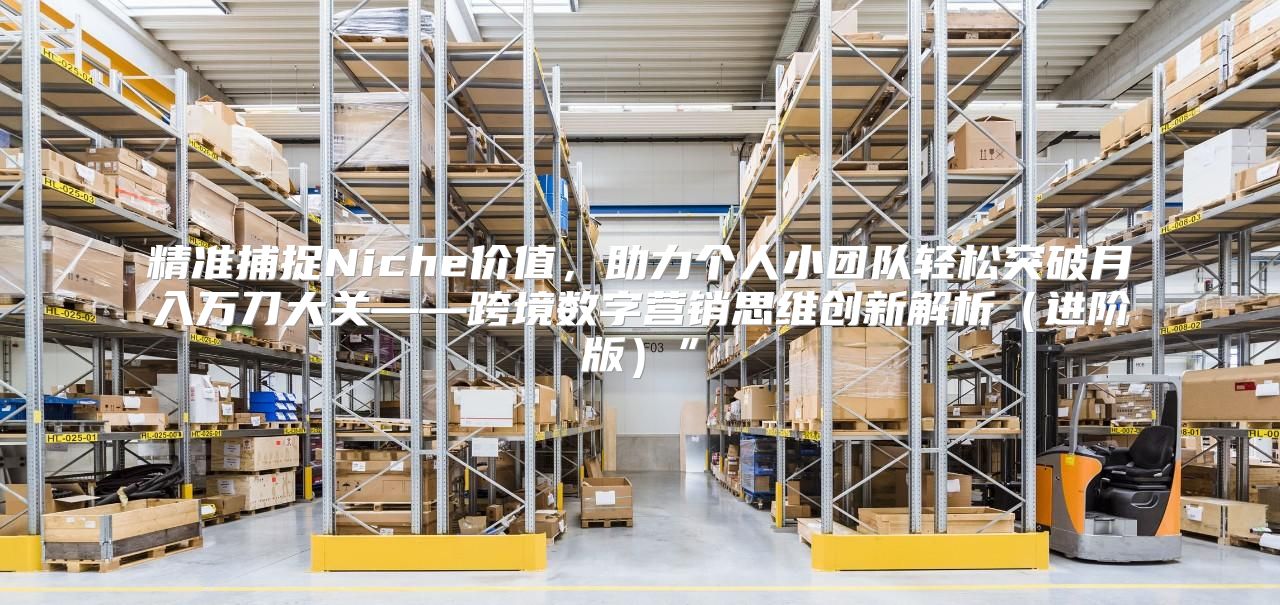 精准捕捉Niche价值，助力个人小团队轻松突破月入万刀大关——跨境数字营销思维创新解析进阶版”