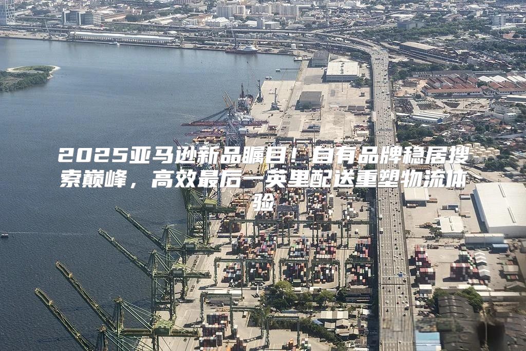 2025亚马逊新品瞩目！自有品牌稳居搜索巅峰，高效最后一英里配送重塑物流体验