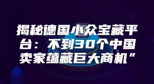 揭秘德国小众宝藏平台：不到30个中国卖家蕴藏巨大商机”