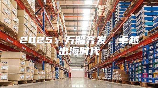 2025万船齐发，卓越出海时代