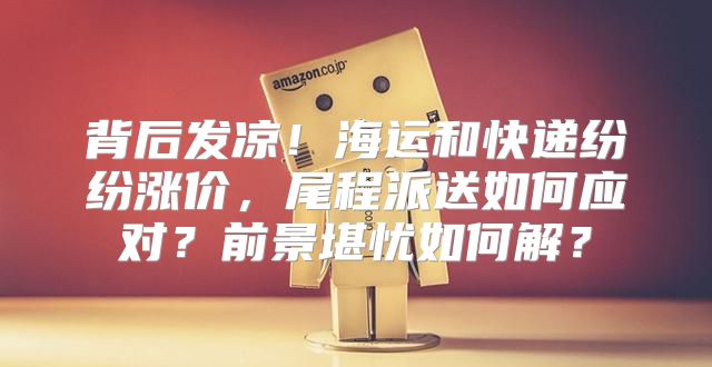背后发凉！海运和快递纷纷涨价，尾程派送如何应对？前景堪忧如何解？