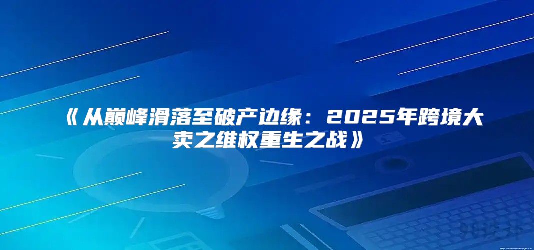 从巅峰滑落至破产边缘：2025年跨境大卖之维权重生之战