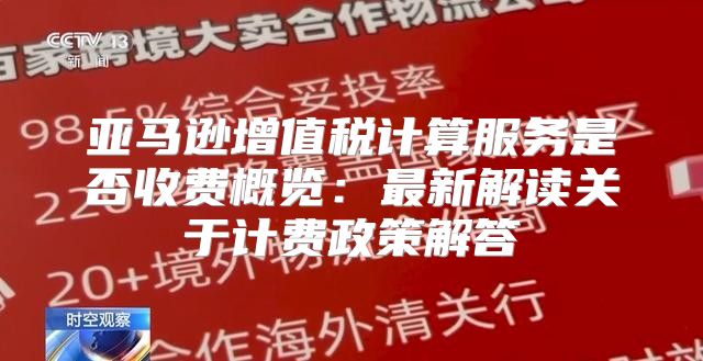 亚马逊增值税计算服务是否收费概览：最新解读关于计费政策解答