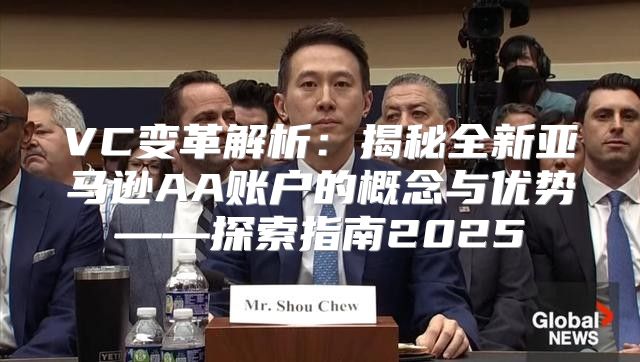 VC变革解析：揭秘全新亚马逊AA账户的概念与优势——探索指南2025