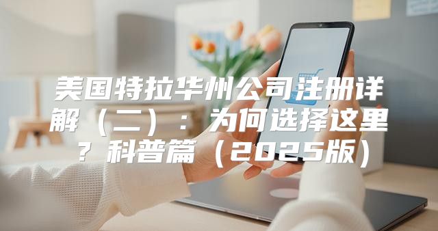 美国特拉华州公司注册详解二：为何选择这里？科普篇2025版