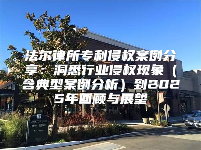法尔律所专利侵权案例分享：洞悉行业侵权现象含典型案例分析到2025年回顾与展望