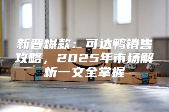 新晋爆款：可达鸭销售攻略，2025年市场解析一文全掌握