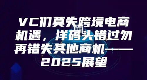 VC们莫失跨境电商机遇，洋码头错过勿再错失其他商机——2025展望
