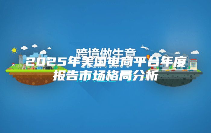 2025年美国电商平台年度报告市场格局分析