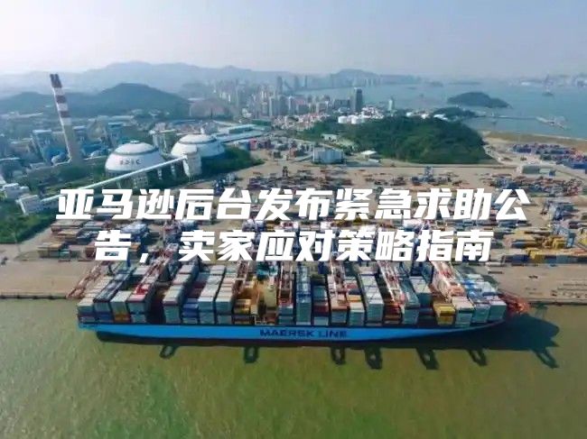 亚马逊后台发布紧急求助公告，卖家应对策略指南