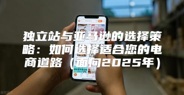 独立站与亚马逊的选择策略：如何选择适合您的电商道路面向2025年
