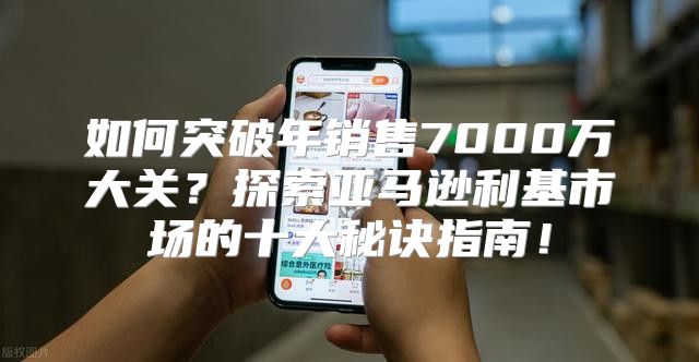 如何突破年销售7000万大关？探索亚马逊利基市场的十大秘诀指南！