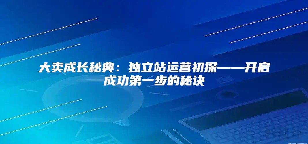 大卖成长秘典：独立站运营初探——开启成功第一步的秘诀