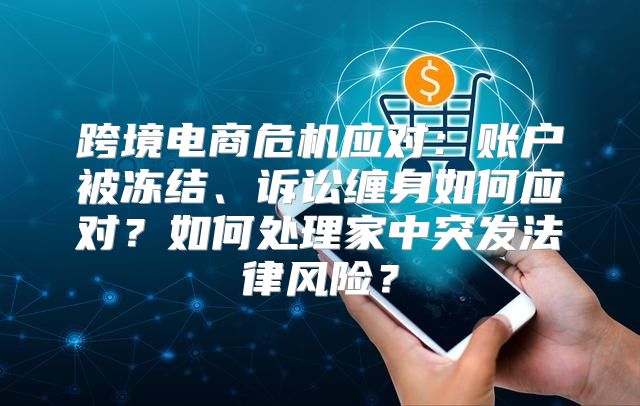 跨境电商危机应对：账户被冻结、诉讼缠身如何应对？如何处理家中突发法律风险？