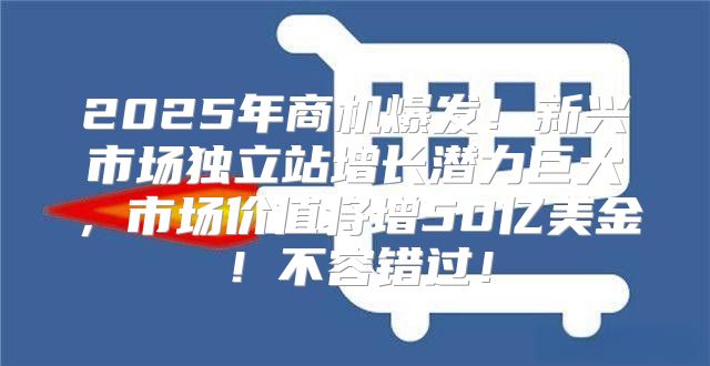 2025年商机爆发！新兴市场独立站增长潜力巨大，市场价值将增50亿美金！不容错过！