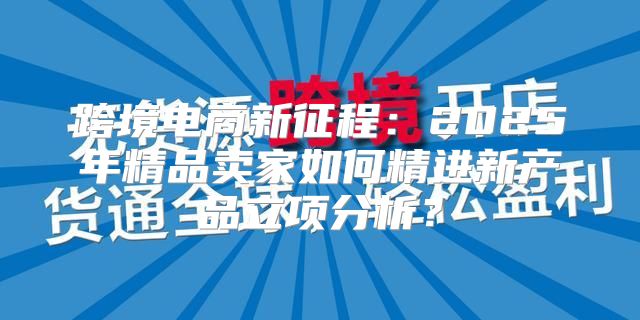 跨境电商新征程：2025年精品卖家如何精进新产品立项分析？