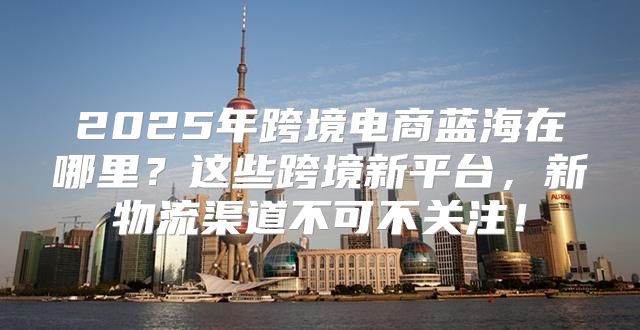 2025年跨境电商蓝海在哪里？这些跨境新平台，新物流渠道不可不关注！