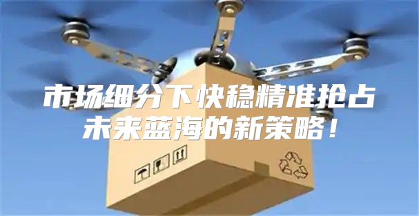市场细分下快稳精准抢占未来蓝海的新策略！