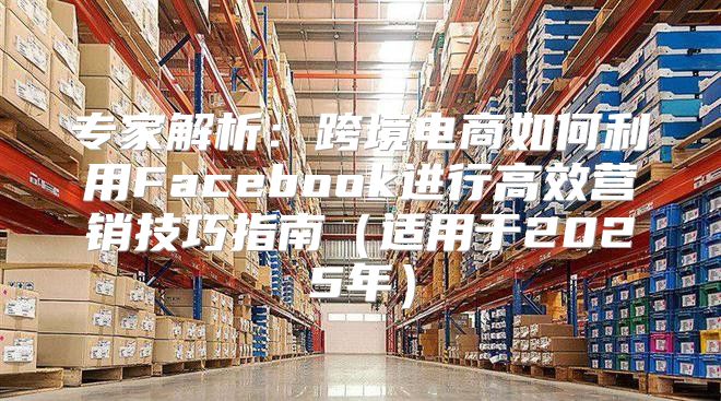 专家解析：跨境电商如何利用Facebook进行高效营销技巧指南适用于2025年