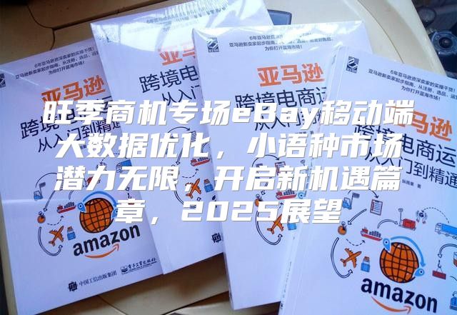 旺季商机专场eBay移动端大数据优化，小语种市场潜力无限，开启新机遇篇章，2025展望