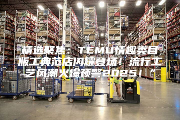 精选聚焦：TEMU情趣类目版工典范店闪耀登场！流行工艺风潮火爆预警2025！”